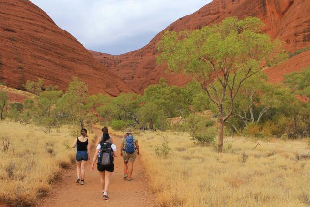 Uluru Ayers Rock 3 dagen (2 nachten) kampeersafari van/naar Alice Springs