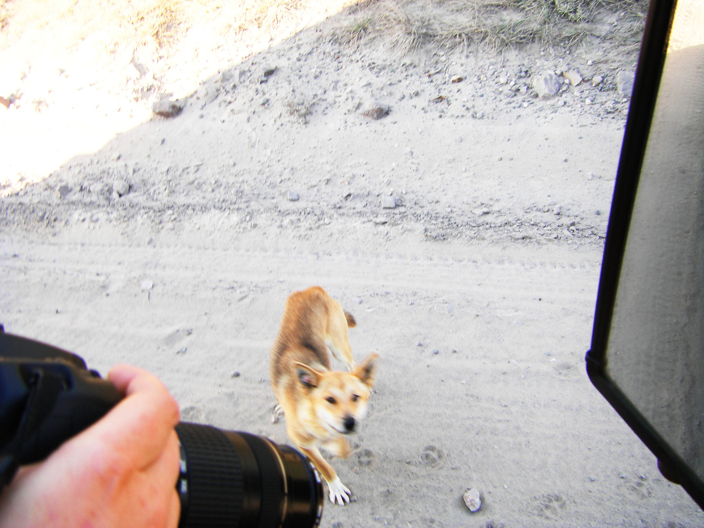 K`gari (Fraser Island) 3 days Jeep Safari (incl. 4 nights!)