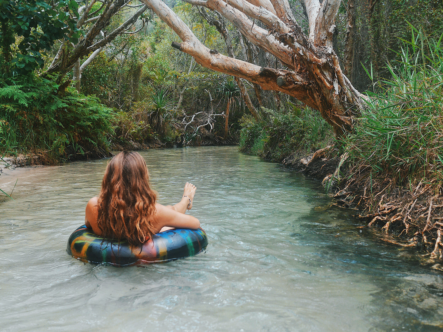 21 Tage Greyhound Gruppen-Trip mit Unterkünfte, Guide und Ausflüge SYD-CNS