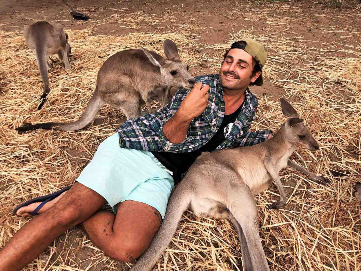 21 Tage Greyhound Gruppen-Trip mit Unterkünfte, Guide und Ausflüge SYD-CNS